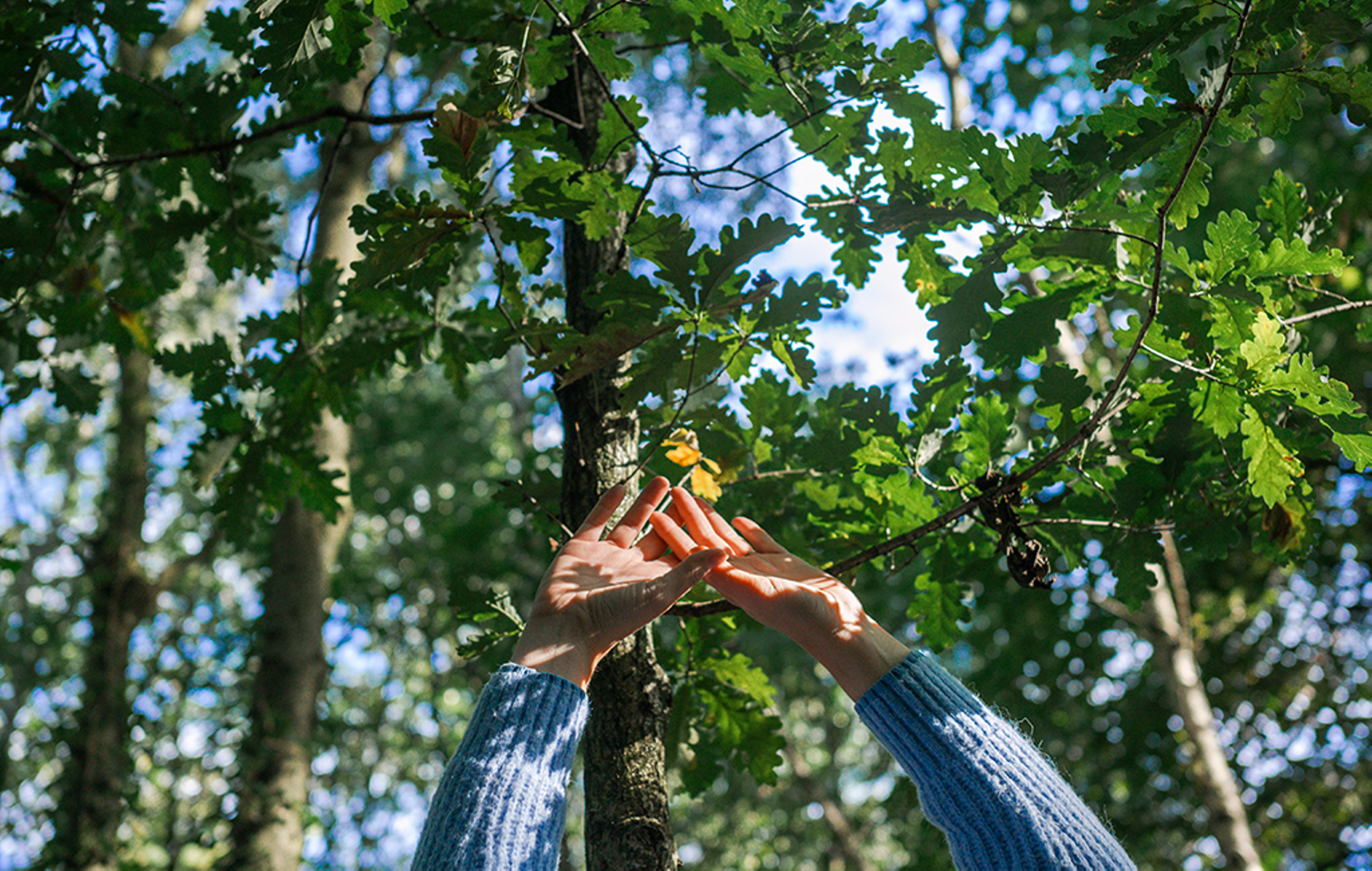 Healing nature